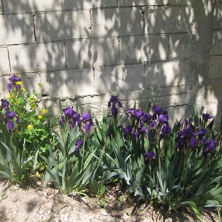 Panorama Apartament Złote Piaski