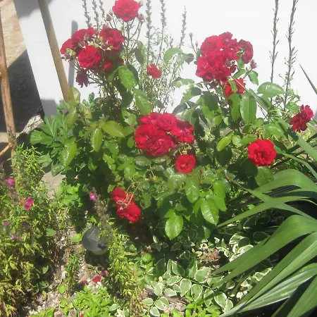 Panorama * Złote Piaski