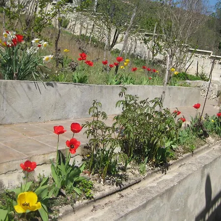 Apartament Panorama *