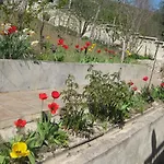 דירה Panorama *
