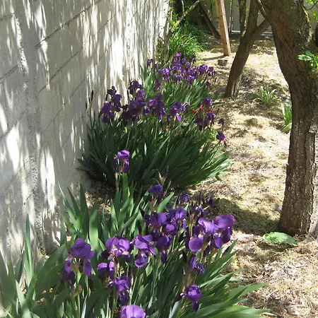 Panorama Apartament Nisipurile de Aur