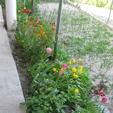 Panorama דירה גולדן סנדס