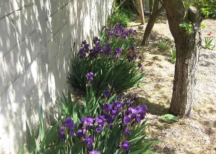 Panorama アパート ゴールデンサンド