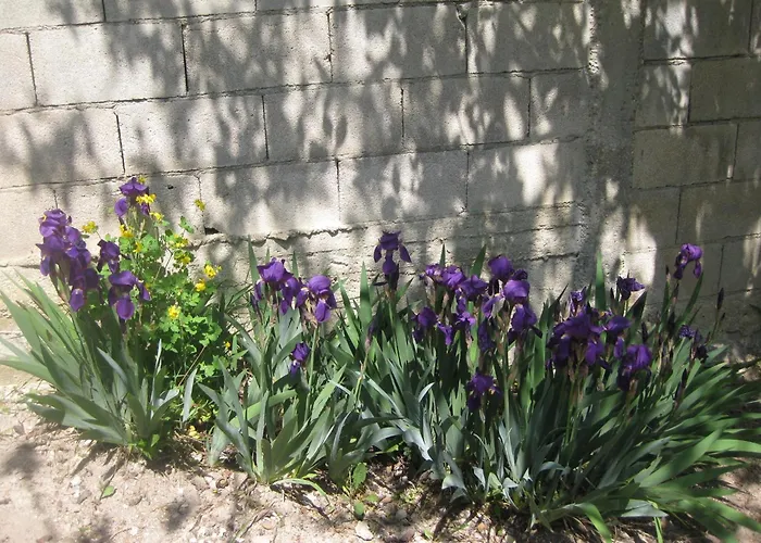 Panorama アパート ゴールデンサンド