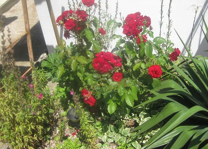 Panorama * ゴールデンサンド